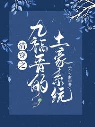 清穿之九福晋的土豪系统精彩片段